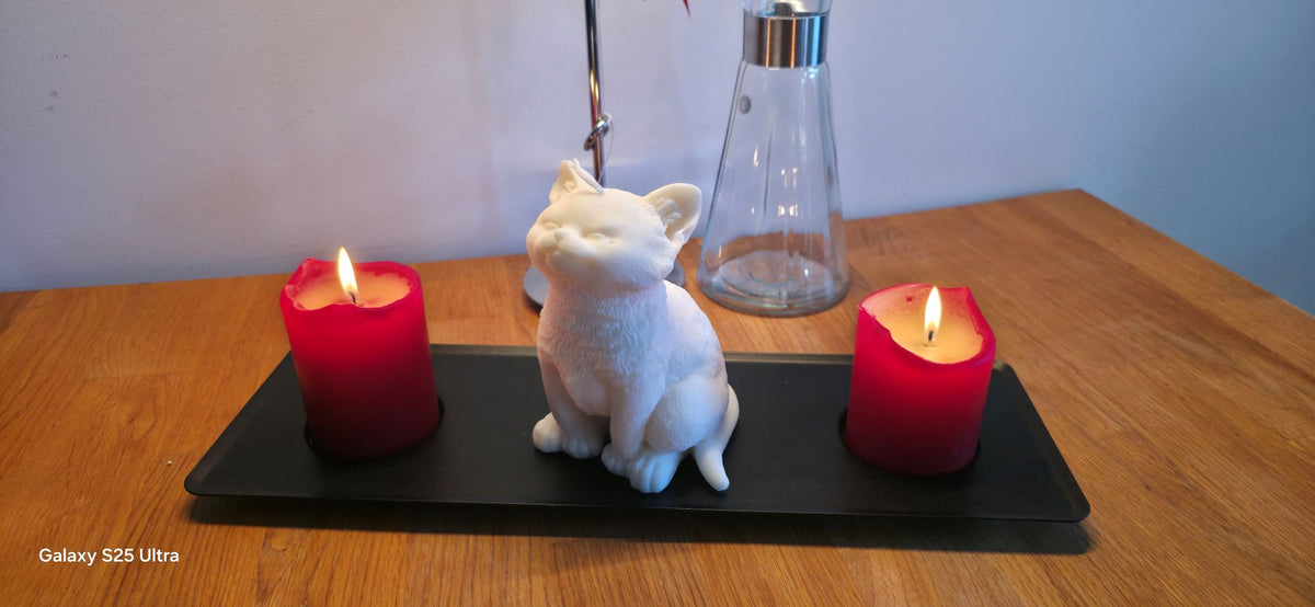 Flot kat