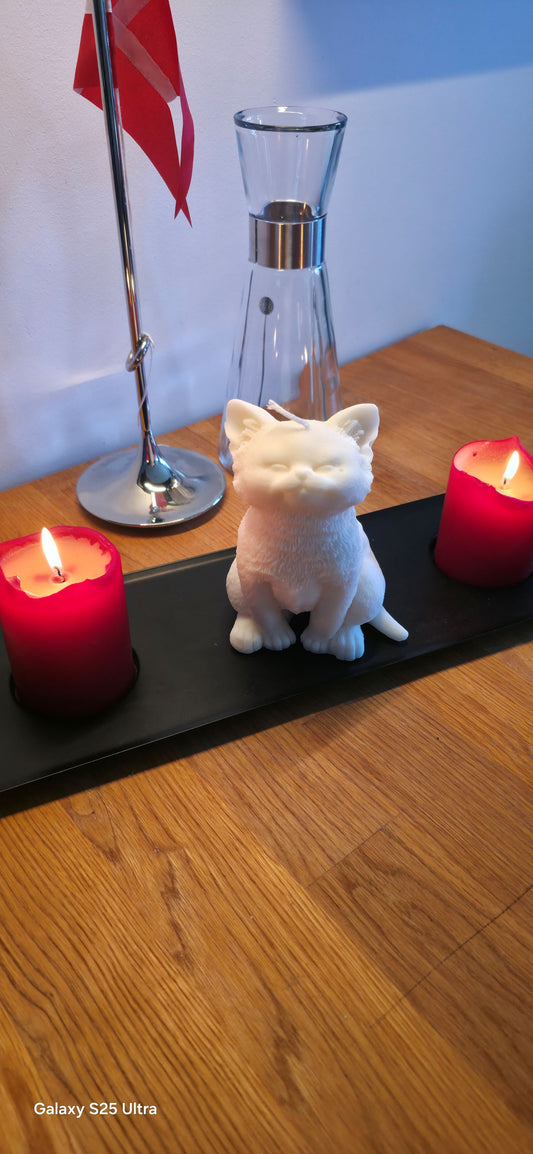 Flot kat