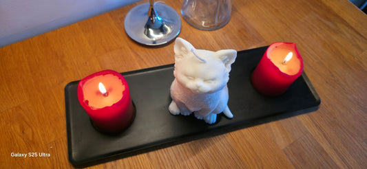 Flot kat